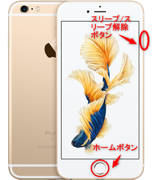 iPhone 6および6 Plus、iPhone 6sおよび6s Plus、iPhone SE、またはiPhone 5sを強制的に再起動する
