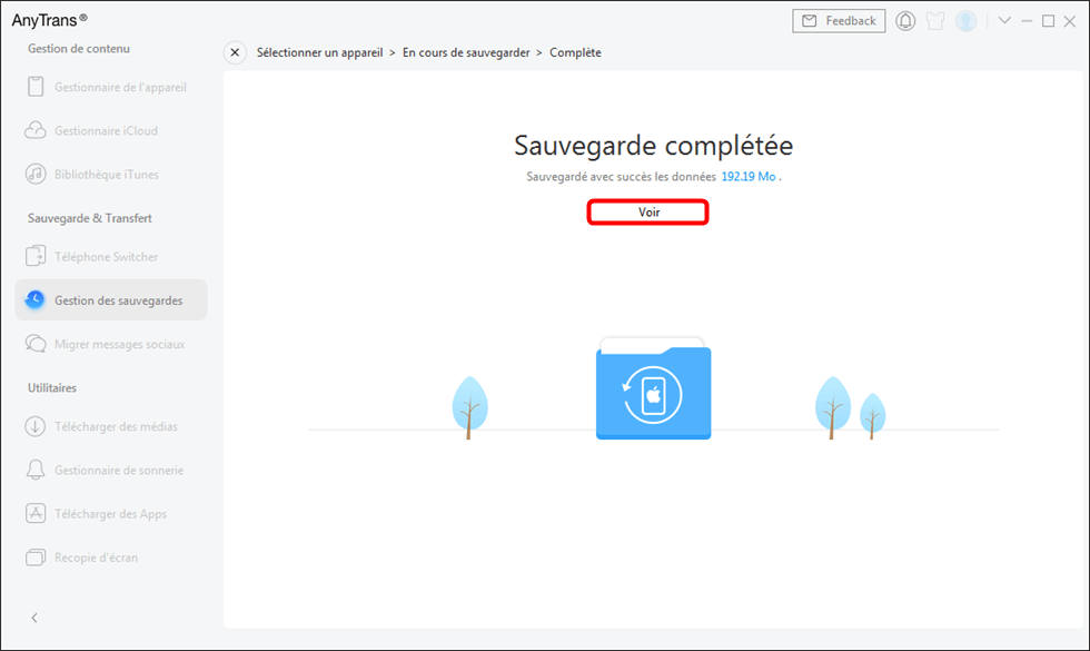 Sauvegarde complétée