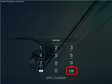 Entrez le code PUK et cliquez sur OK
