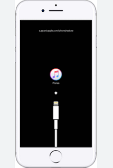 插入iTunes